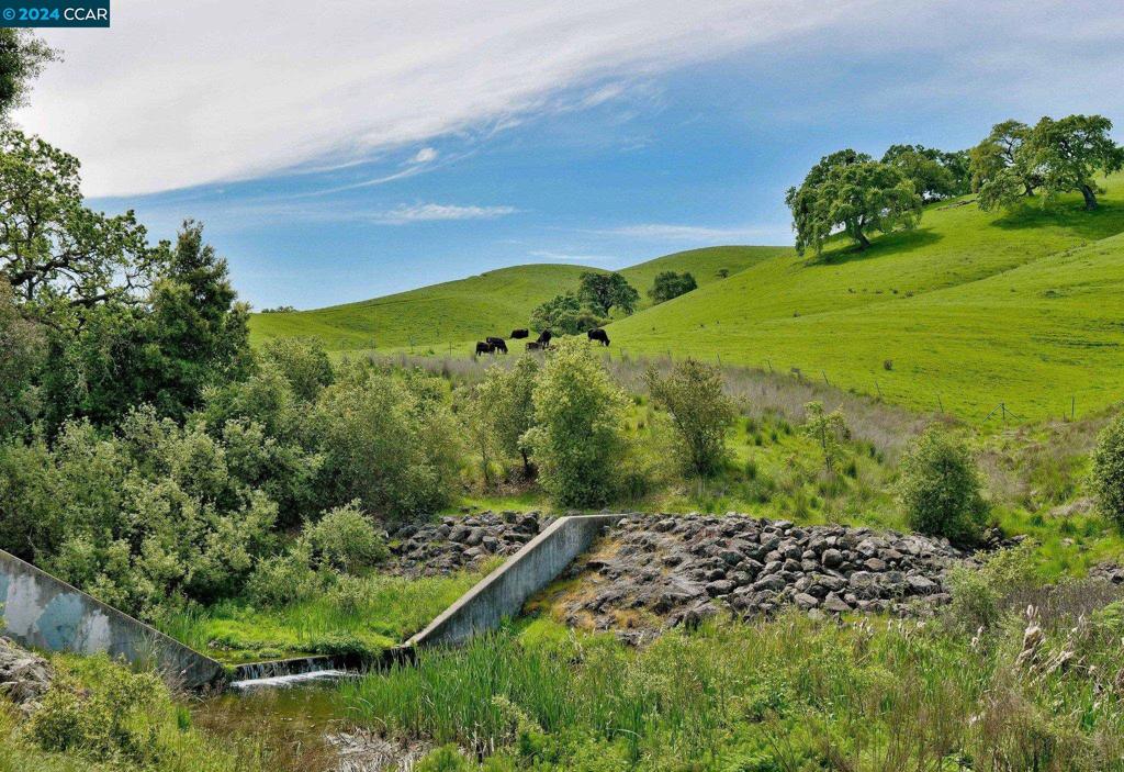 1 Rainbow Cir Property Photo 39