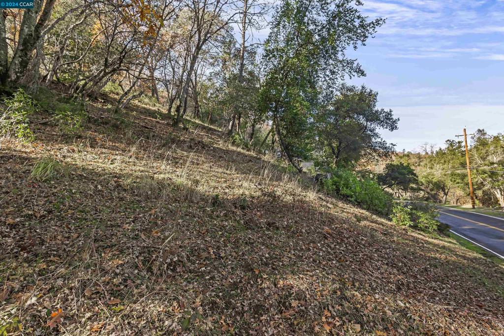 78 Circle Oaks Drive Property Photo 14