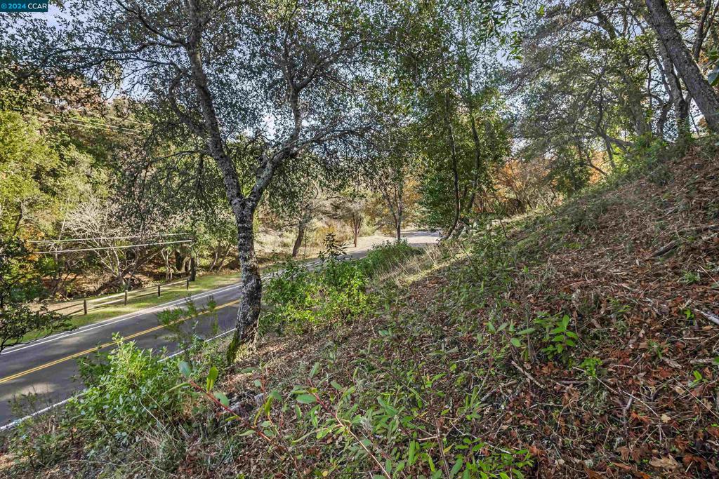 78 Circle Oaks Drive Property Photo 15