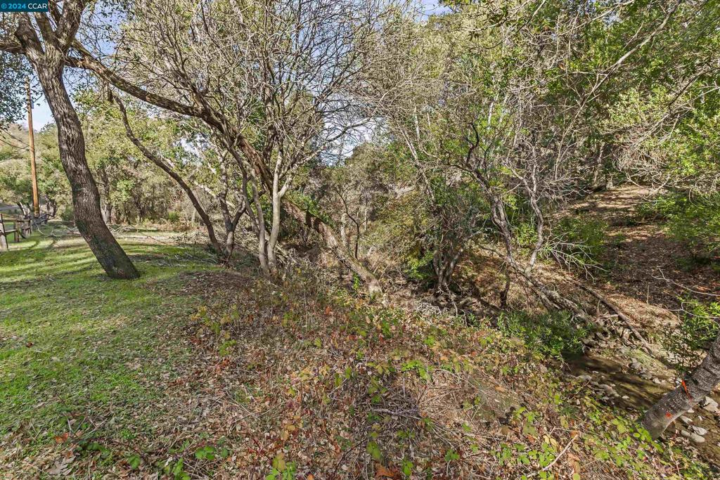 78 Circle Oaks Drive Property Photo 19