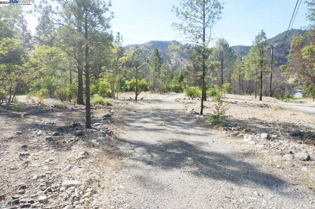 101 River Acres Property Photo 2