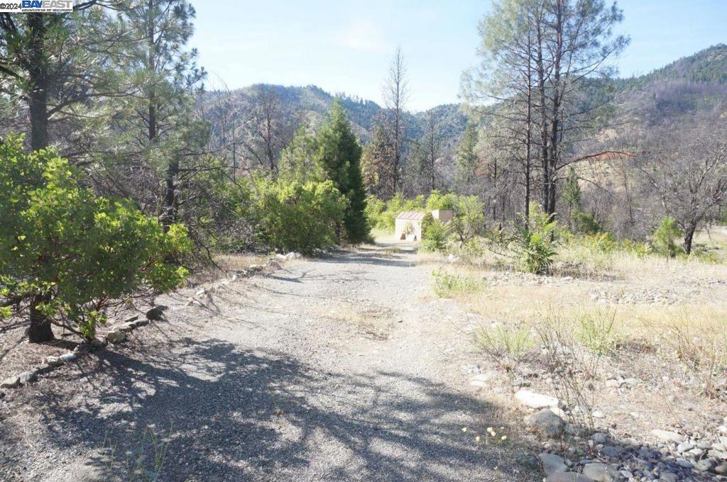 101 River Acres Property Photo 3