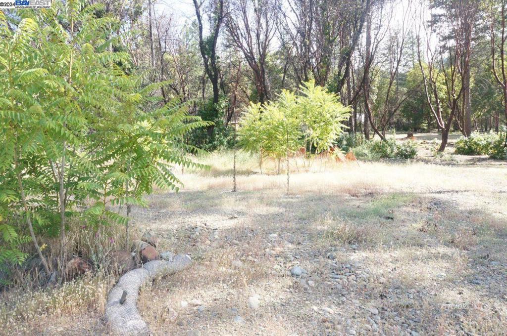 101 River Acres Property Photo 5
