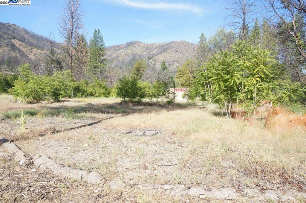 101 River Acres Property Photo 6