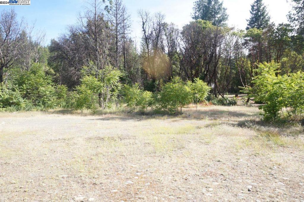 101 River Acres Property Photo 8