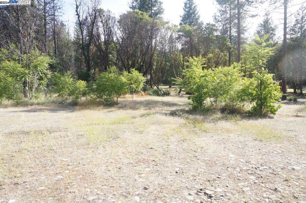 101 River Acres Property Photo 9