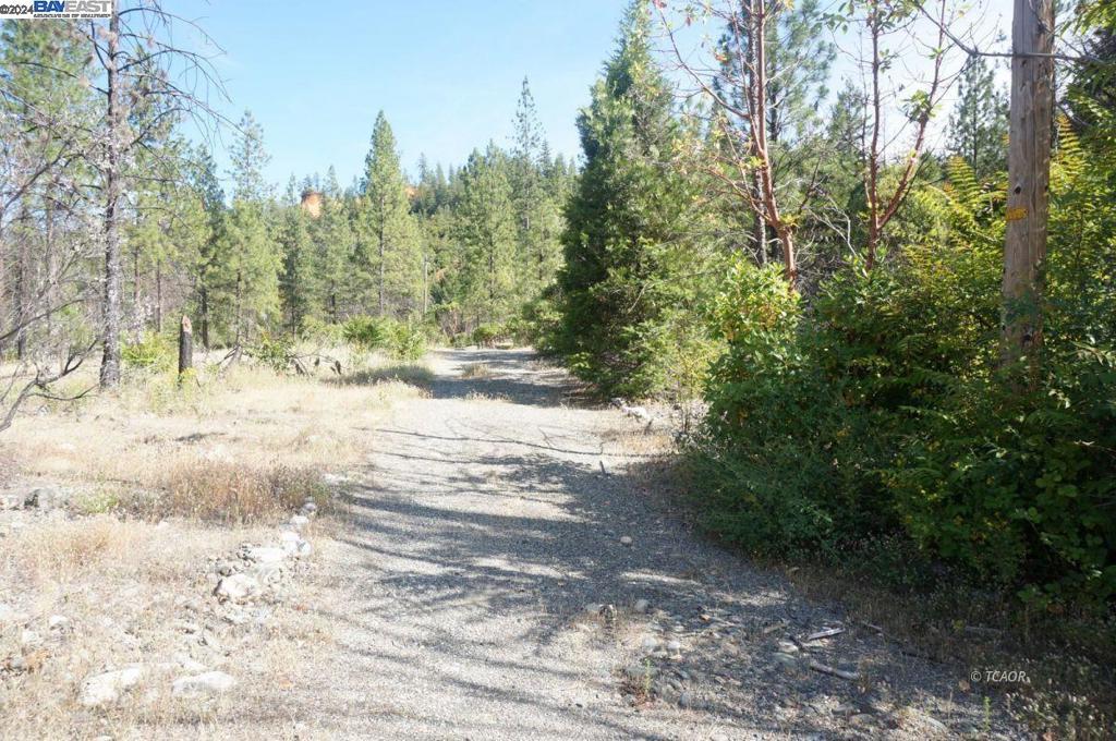 101 River Acres Property Photo 11