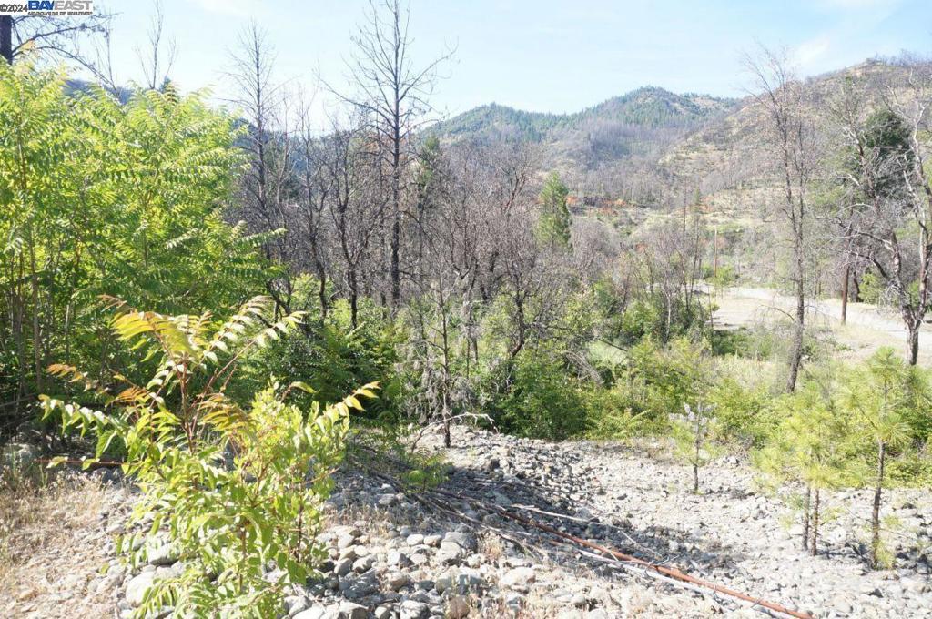 101 River Acres Property Photo 12