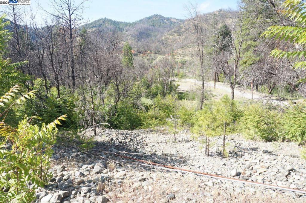 101 River Acres Property Photo 13