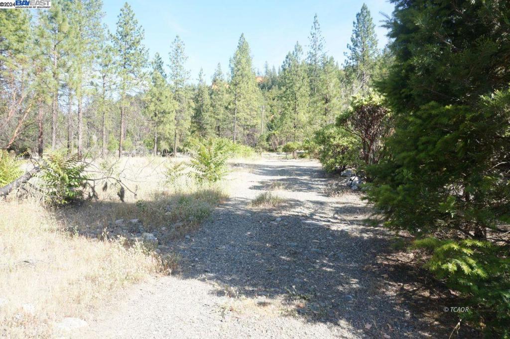 101 River Acres Property Photo 15