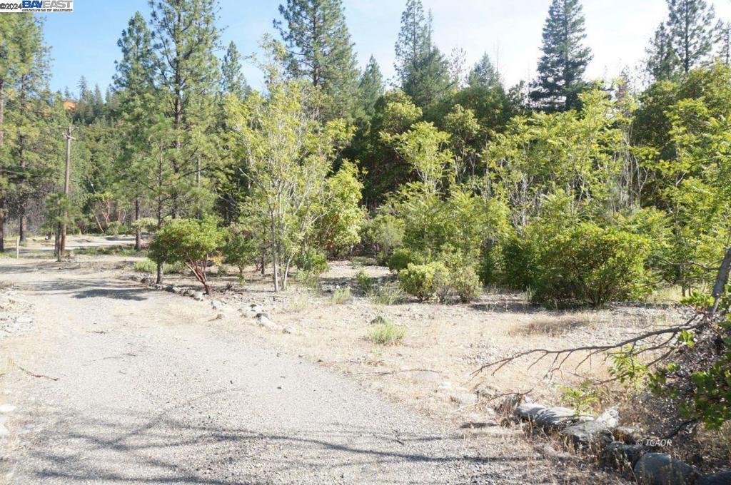 101 River Acres Property Photo 16