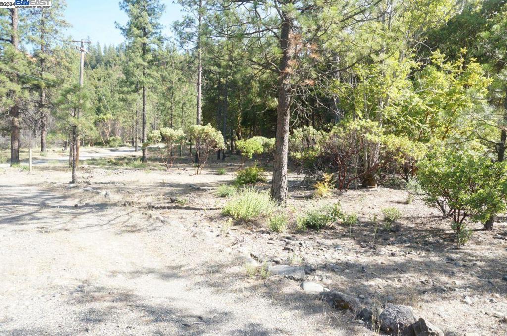 101 River Acres Property Photo 17