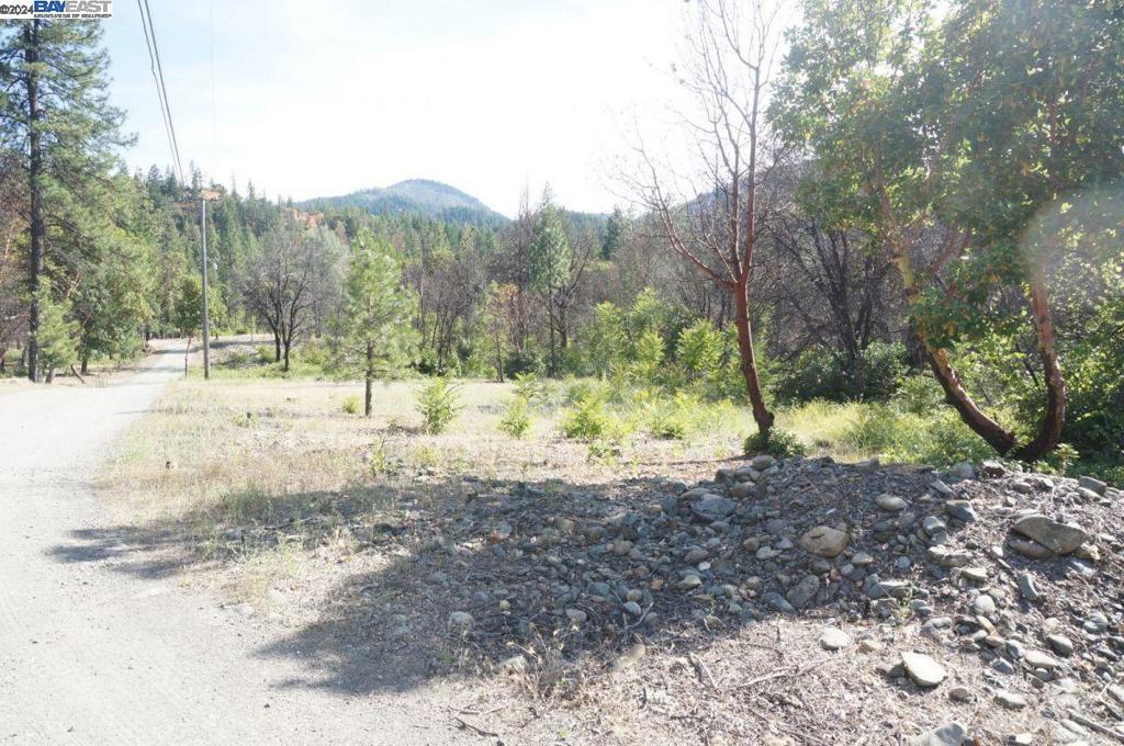 101 River Acres Property Photo 20