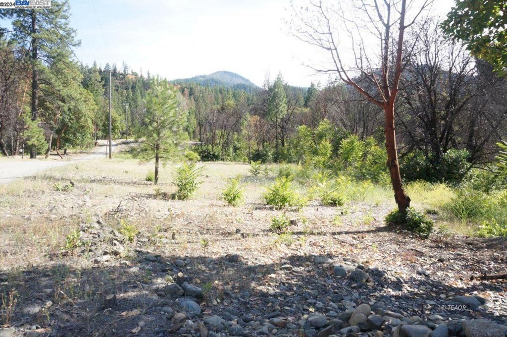 101 River Acres Property Photo 21
