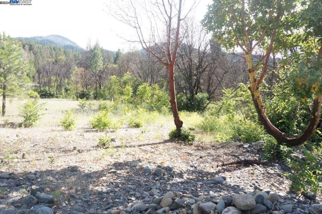 101 River Acres Property Photo 22