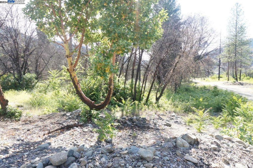101 River Acres Property Photo 23