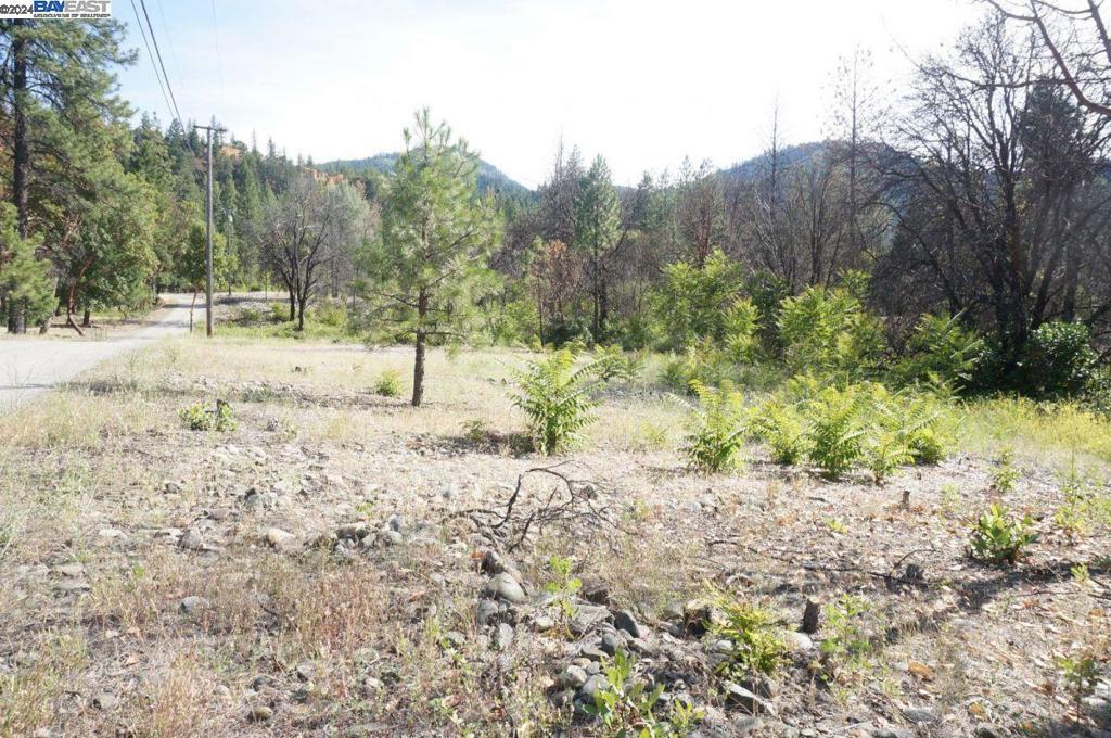 101 River Acres Property Photo 24