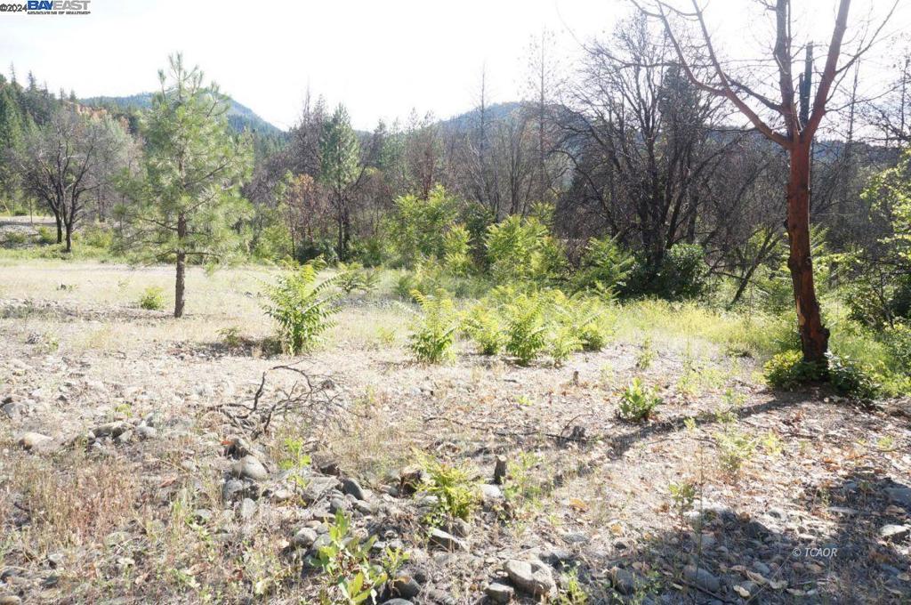 101 River Acres Property Photo 25