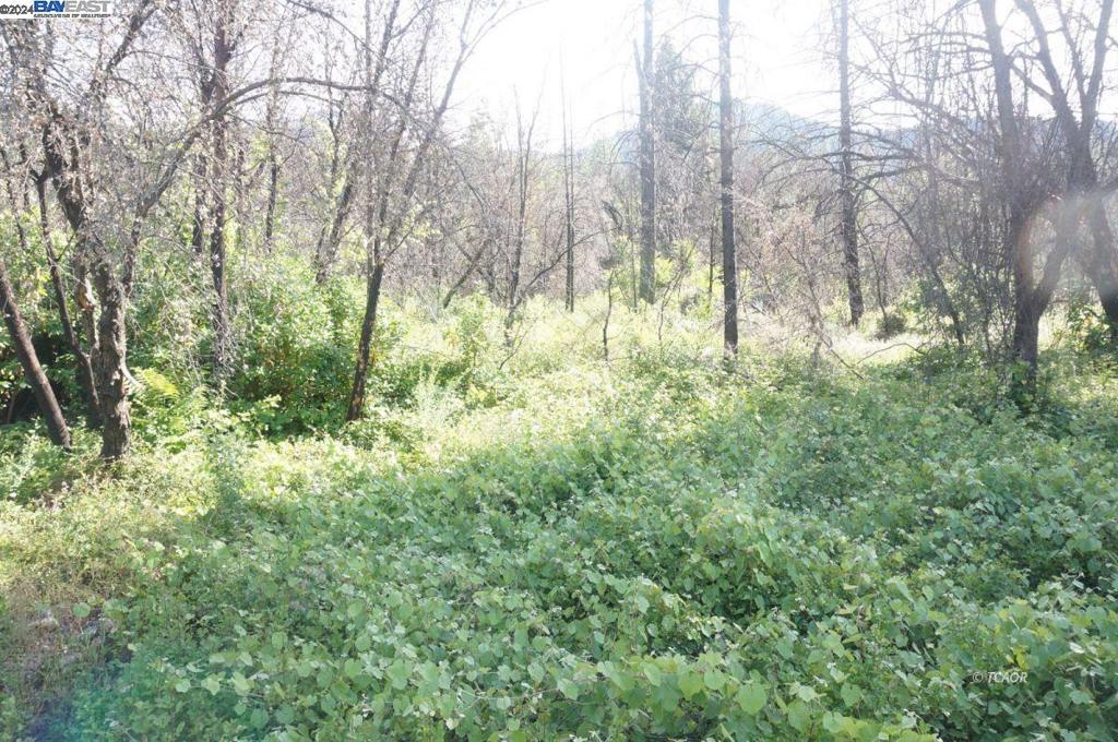 101 River Acres Property Photo 26