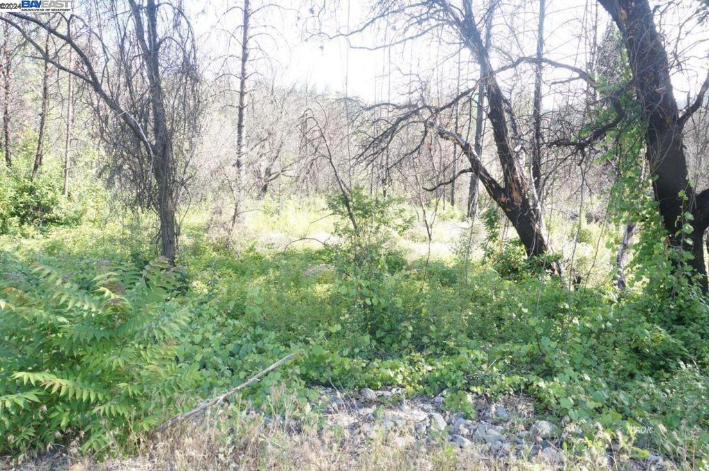 101 River Acres Property Photo 27