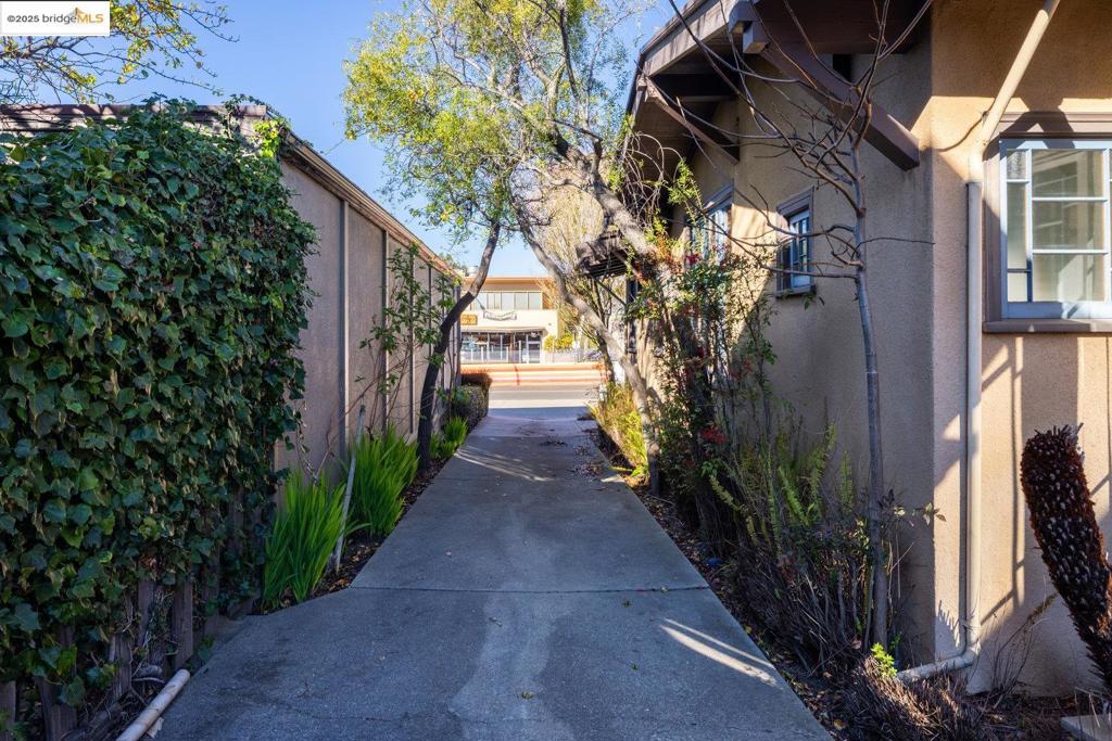 1714 Solano Ave Property Photo 15
