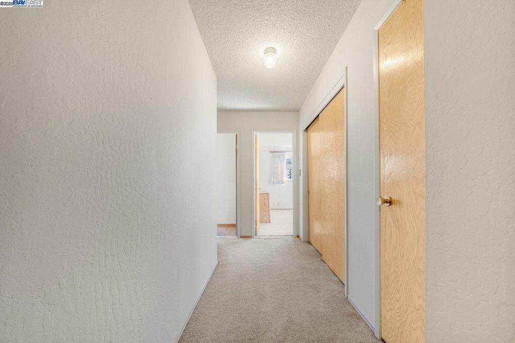 4546 San Carlos Ave Property Photo 10