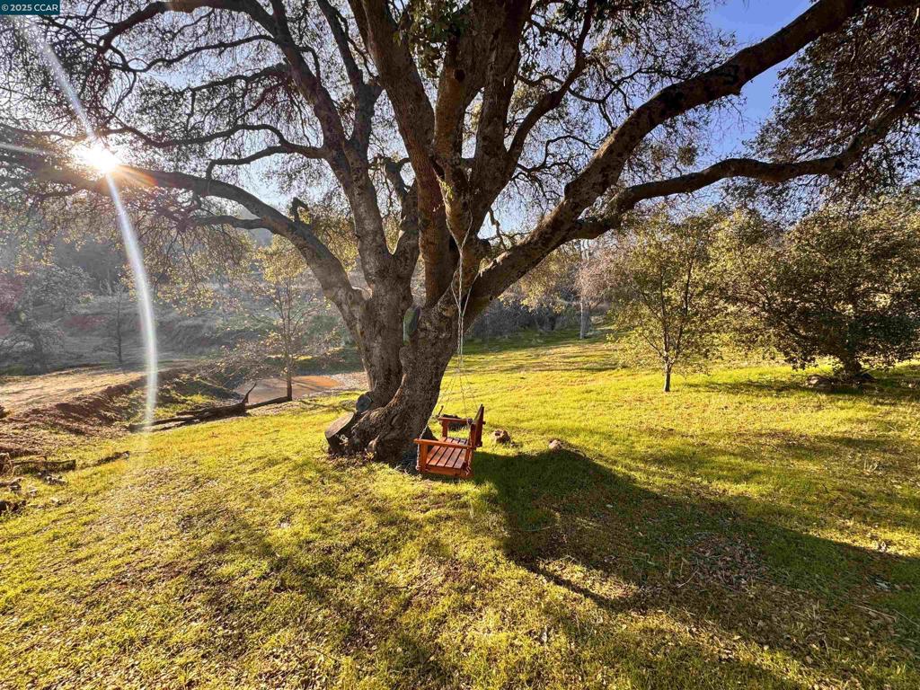 30284 Seminole Rd Property Photo