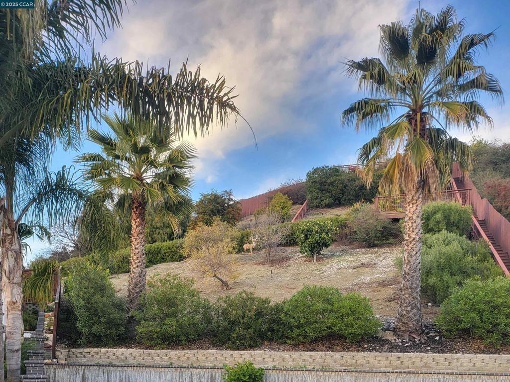Darius Way Property Photo 2