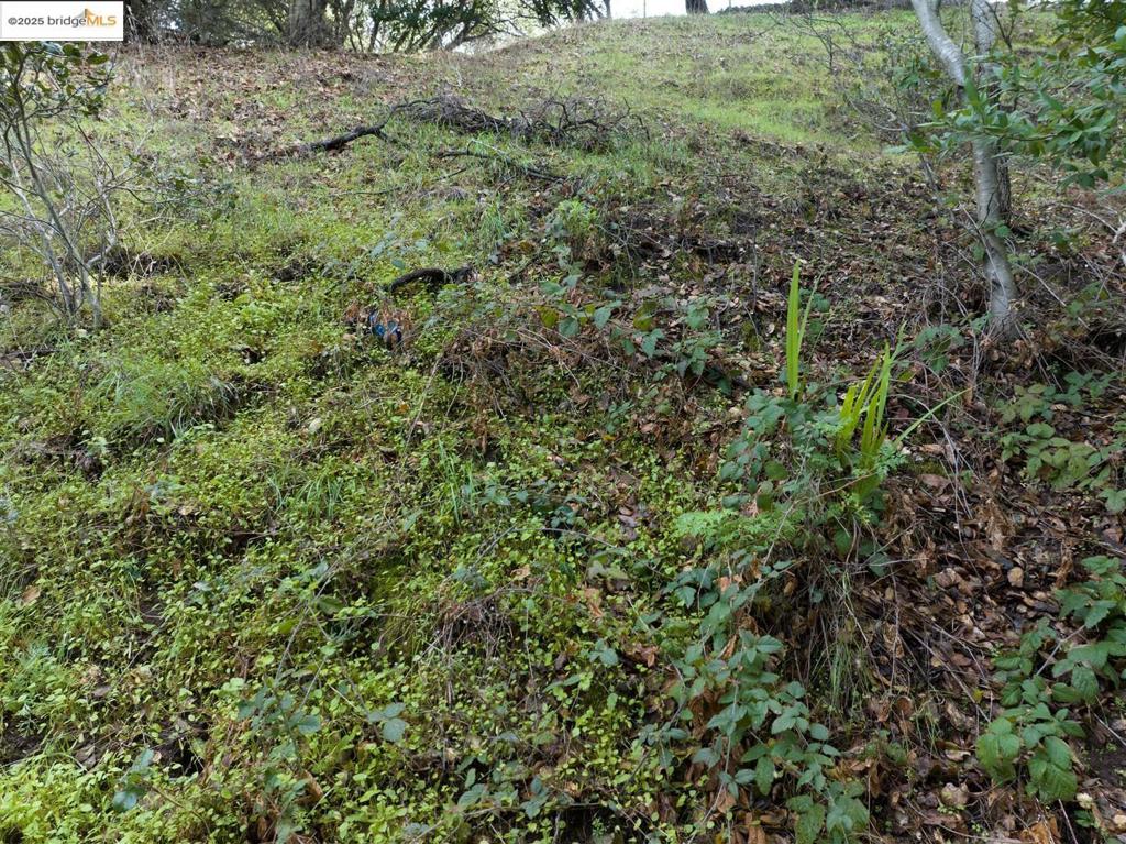 26 Lucille Way Property Photo 17