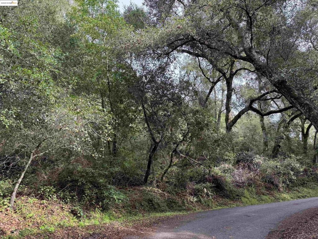 0 Lake Blvd Property Photo