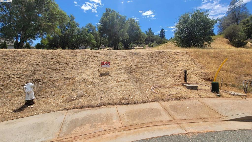 1571 Nevill Ct Property Photo 2