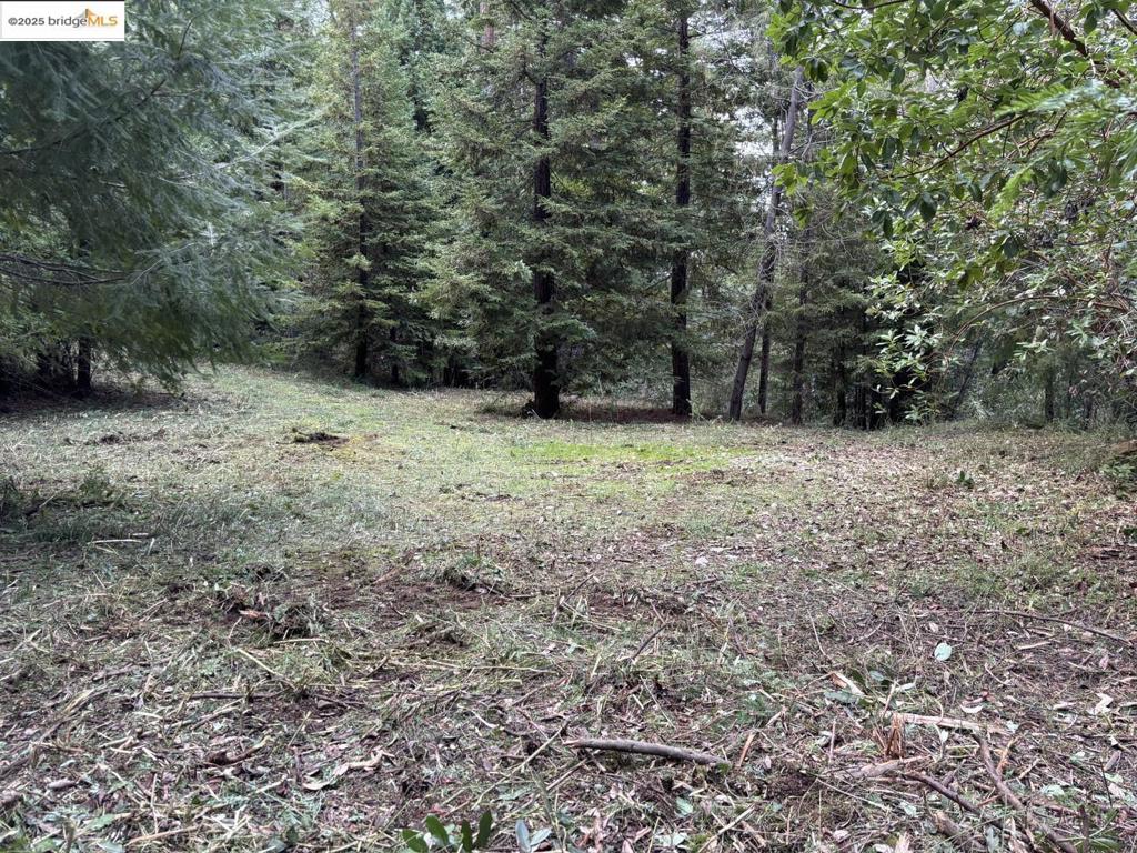 0 Croy Rd Property Photo 6