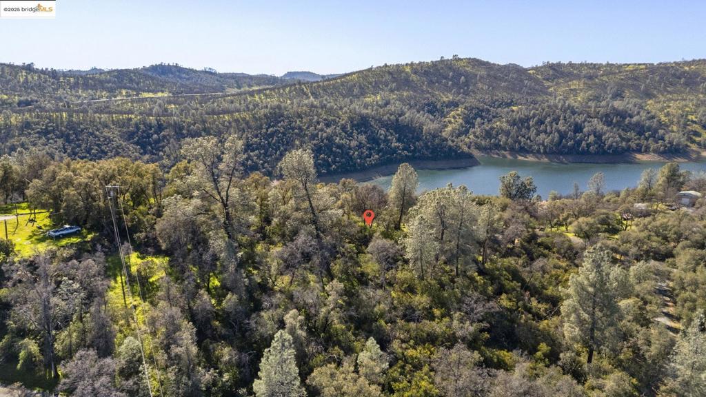 41088735 Property Photo 4