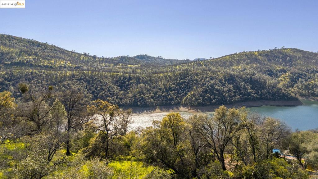 41088735 Property Photo 5