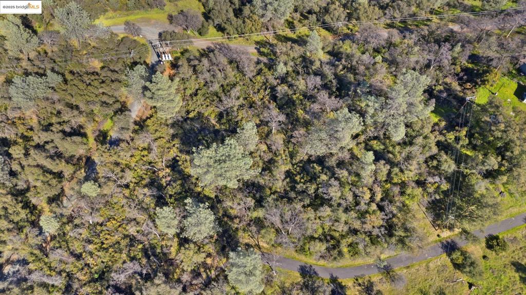 41088735 Property Photo 8