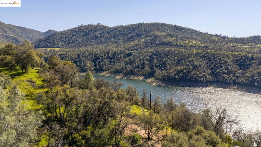 41088735 Property Photo 11