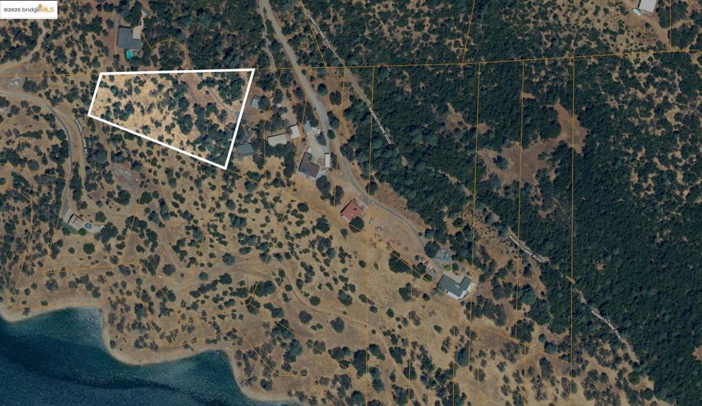 41088735 Property Photo 12