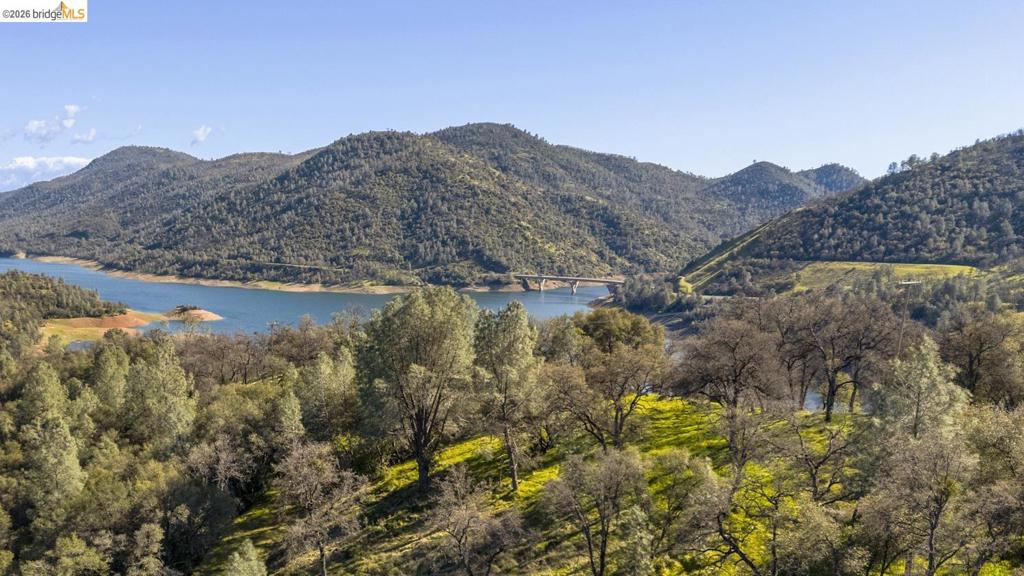 41088736 Property Photo 2