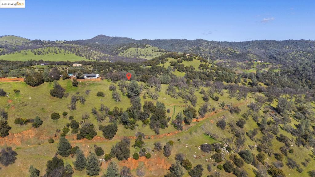41088736 Property Photo 3