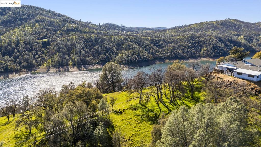 41088736 Property Photo 6
