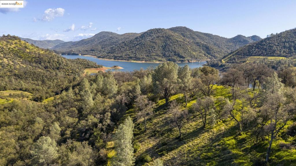 41088736 Property Photo 14