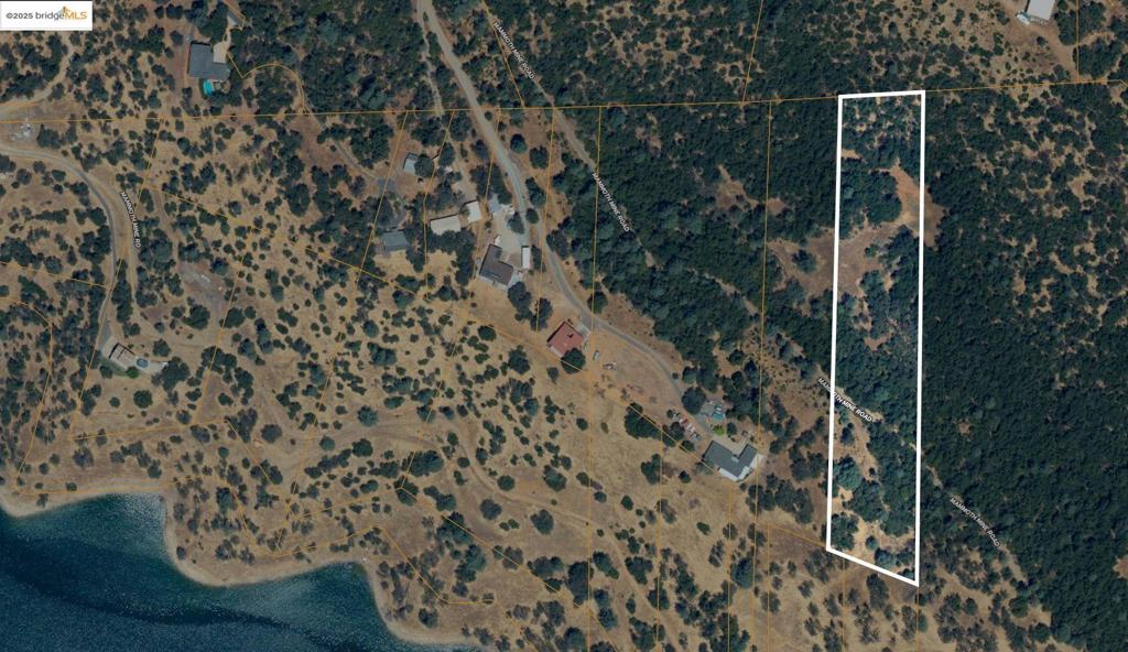 41088736 Property Photo 17