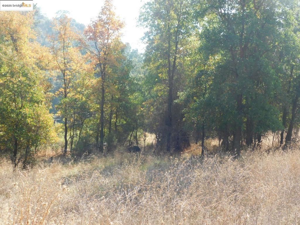 20556 Columbia Way Property Photo 7