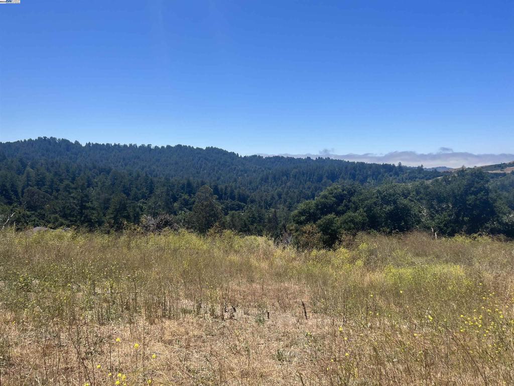 20 Scenic Drive Property Photo 1