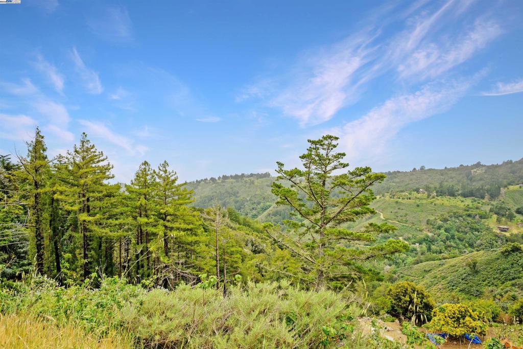 46190 Pfeiffer Ridge Rd Property Photo 1