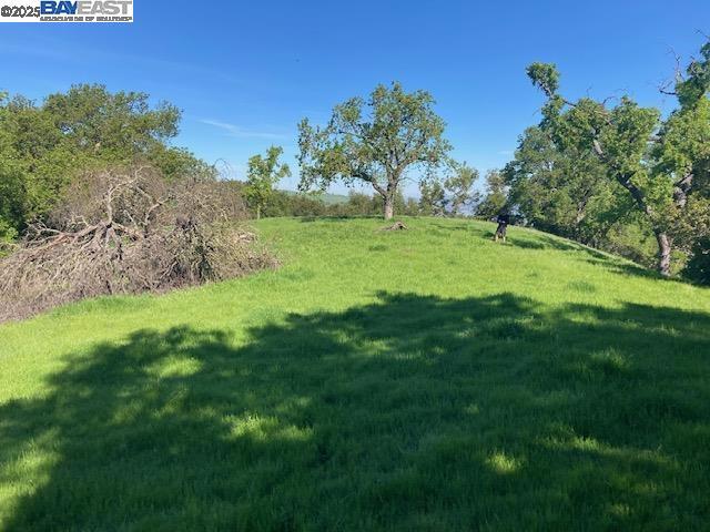 0 Wanda Way Property Photo 1
