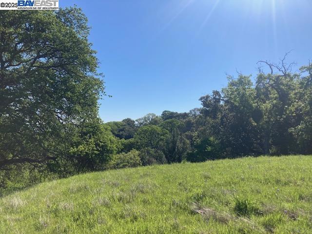 0 Wanda Way Property Photo 4
