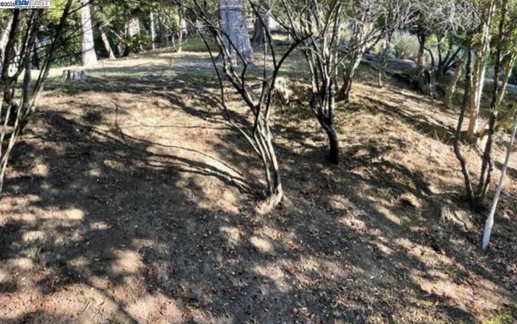 6690 Gunn Dr Property Photo 1