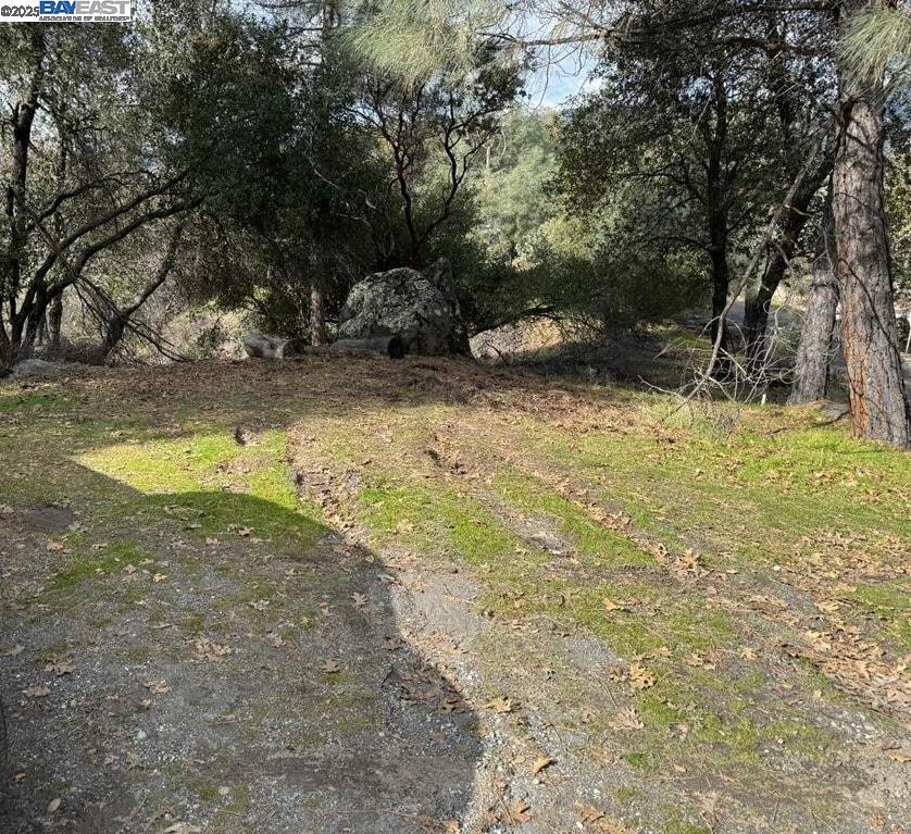21201 Crystal Falls Dr Property Photo