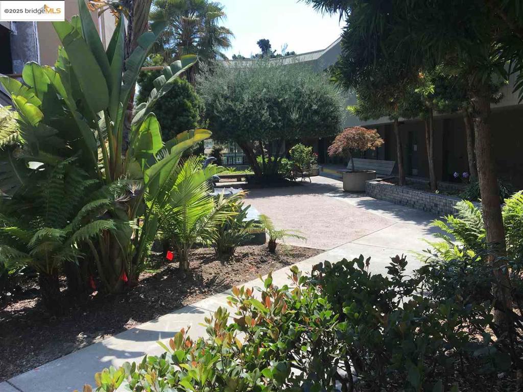 11 Embarcadero Property Photo 4